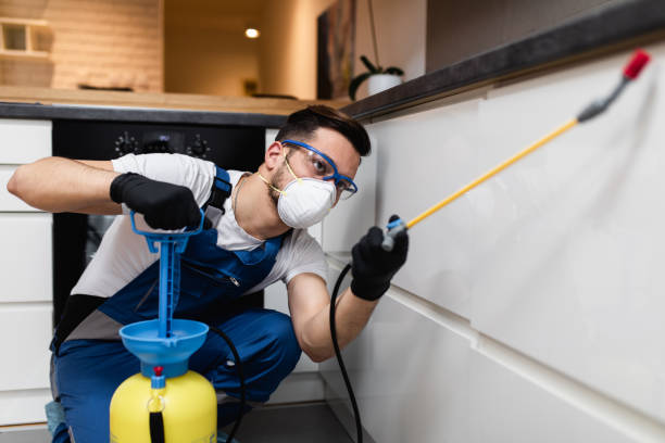 Reliable Somerset, WI Pest Control Solutions