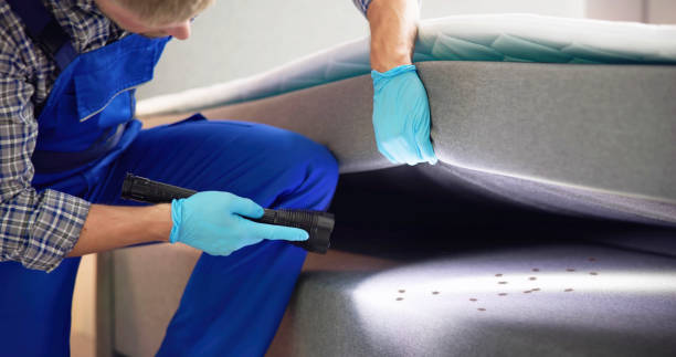 Best Best Pest Control Companies  in Somerset, WI